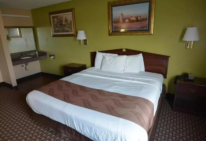 身障者適用キングサイズベッドルーム, Jameson Inn And Suites Hazelhurst