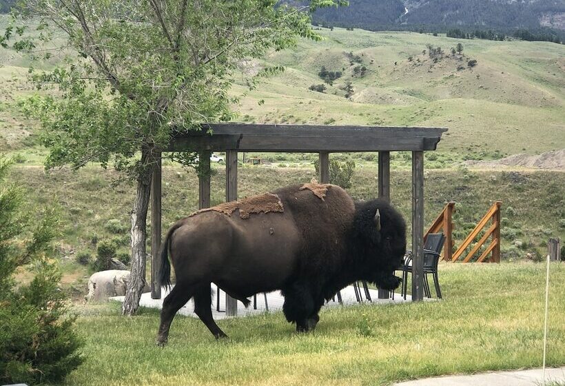 בית, 3 חדרי שינה, Yellowstone Gateway Inn