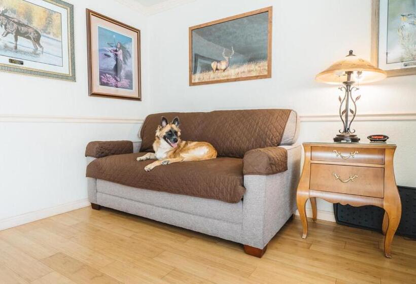 סוויטה דלוקס, Yellowstone Gateway Inn