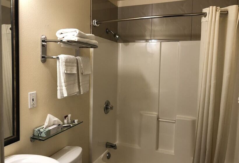 Студия Deluxe, Lamplighter Motel Clearlake