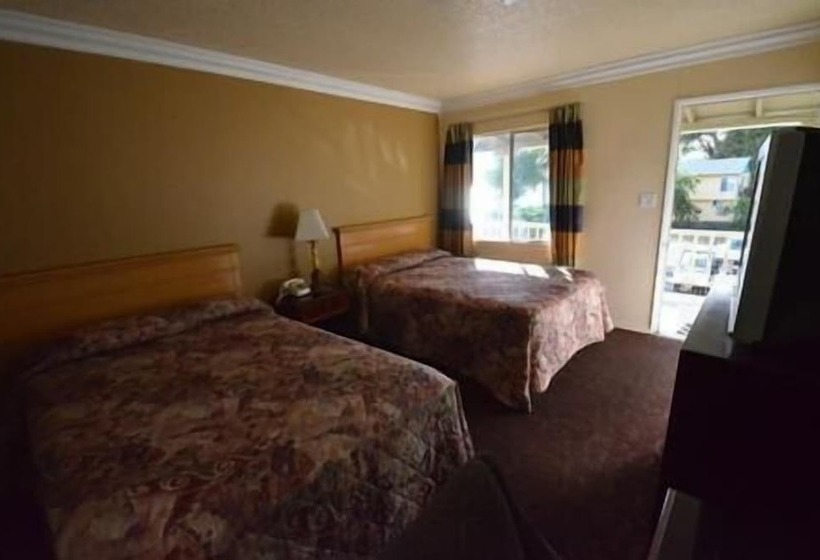 デラックススタジオ, Lamplighter Motel Clearlake