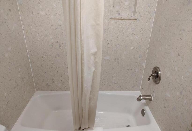 带大床的标准间, Economy Inn Richmond