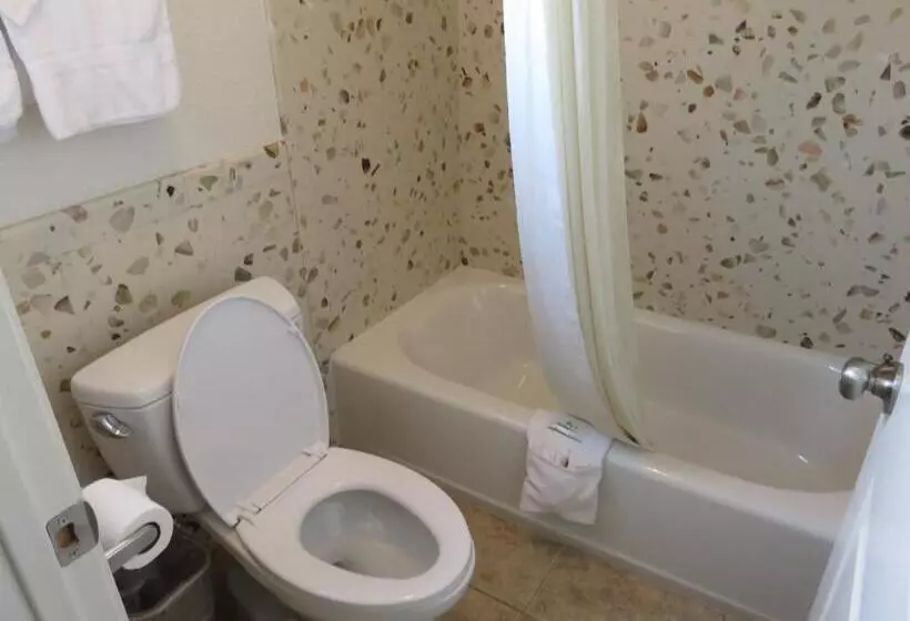キングサイズベッドのスタンダードルーム, Economy Inn Richmond