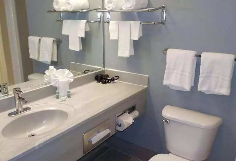 اتاق استاندارد با 2 تخت دوبل, Budget Inn Express