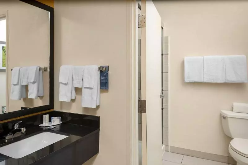 キングサイズベッドのスタンダードルーム, Fairfield Inn Tallahassee North/i10