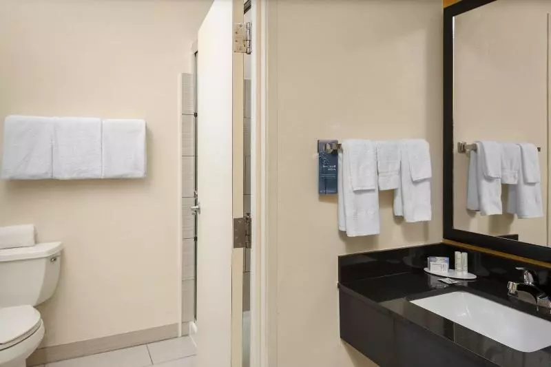 キングサイドベッドのスタンダードワンルーム, Fairfield Inn Tallahassee North/i10