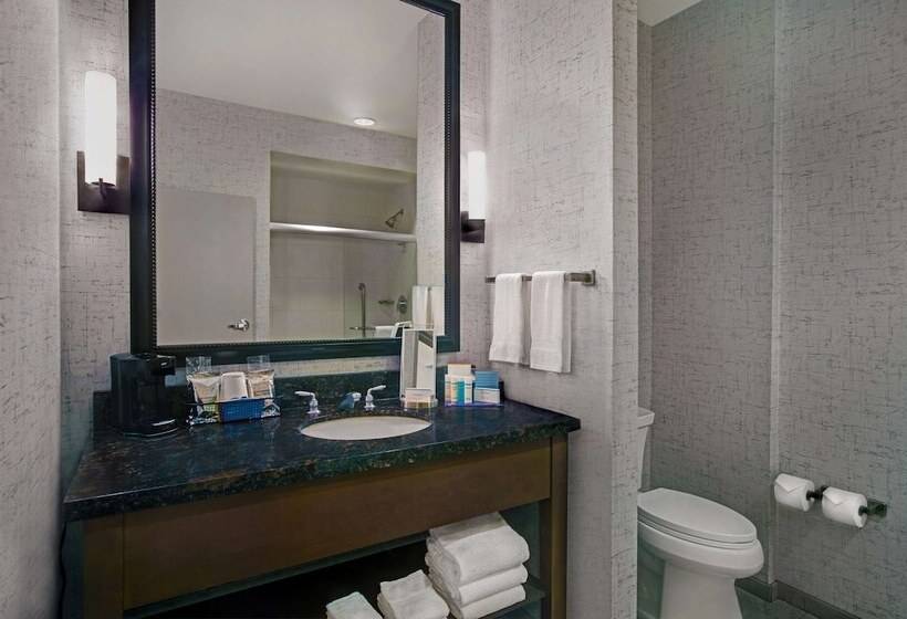 Номер Стандарт Двуспальная Кровать, Hampton Inn & Suites Austin @ The University/capitol