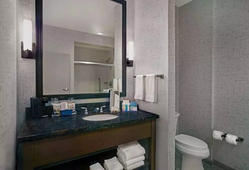 ダブルベッドスタンダードルーム, Hampton Inn & Suites Austin @ The University/capitol