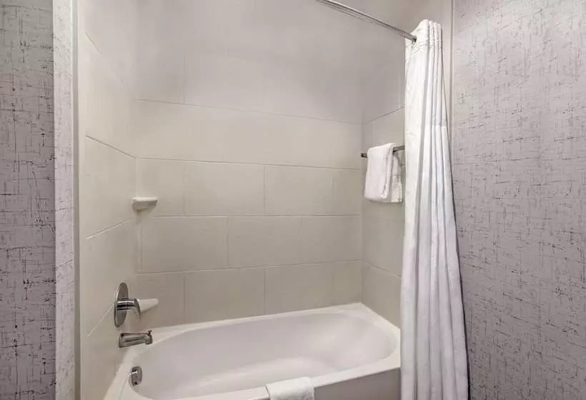 ２ダブルベッドのスタンダードルーム, Hampton Inn & Suites Austin @ The University/capitol