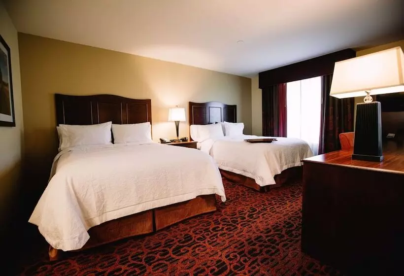 2ダブルベッドのスタンダードルーム, Hampton Inn & Suites Minot Airport