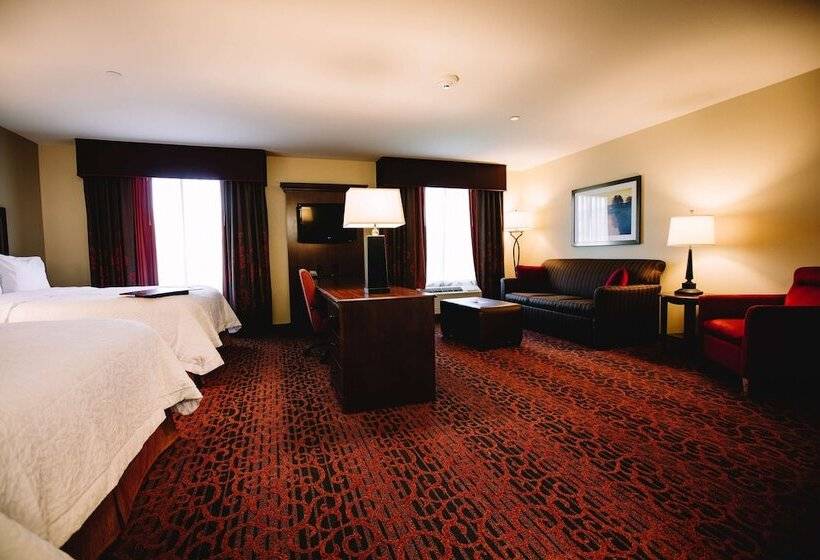 Номер Стандарт 2 Двуспальные Кровати, Hampton Inn & Suites Minot Airport