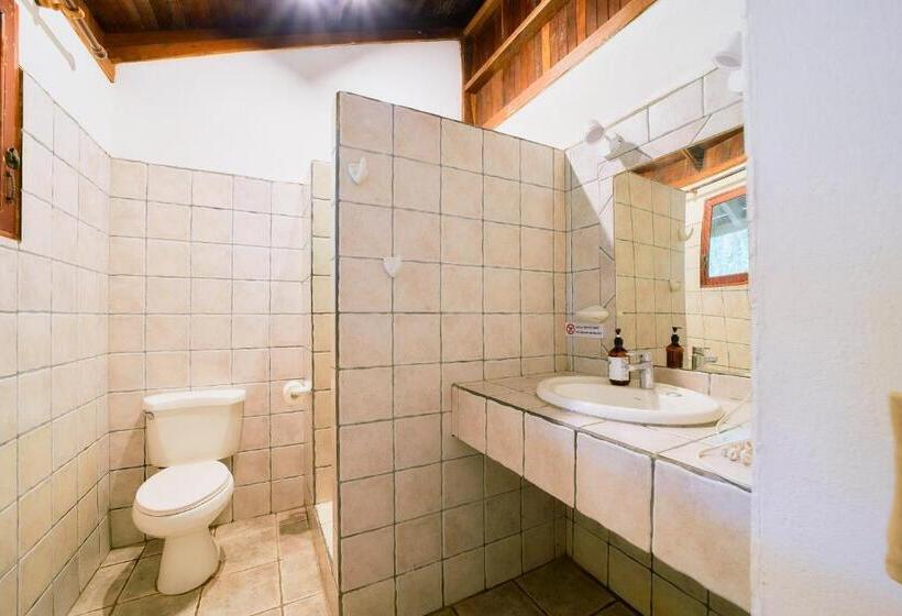 غرفة قياسية, Cariblue Beach and Jungle Resort