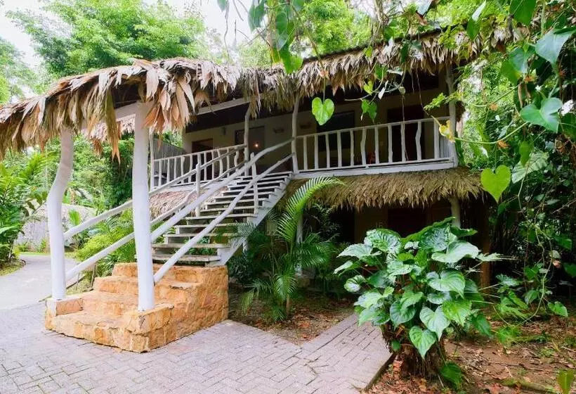 Standard-huone, Cariblue Beach and Jungle Resort