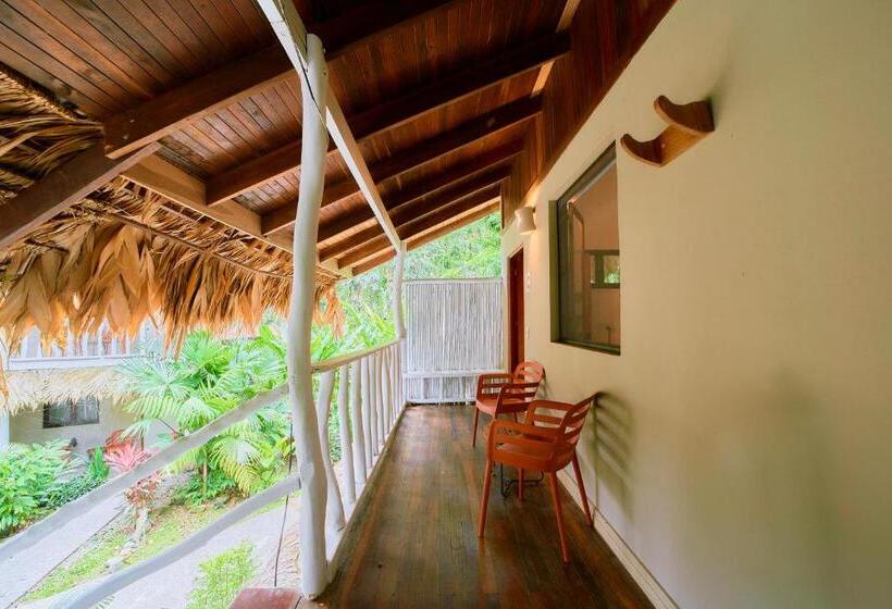 غرفة قياسية, Cariblue Beach and Jungle Resort