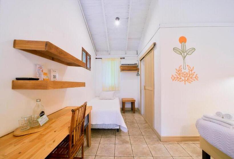 غرفة قياسية, Cariblue Beach and Jungle Resort