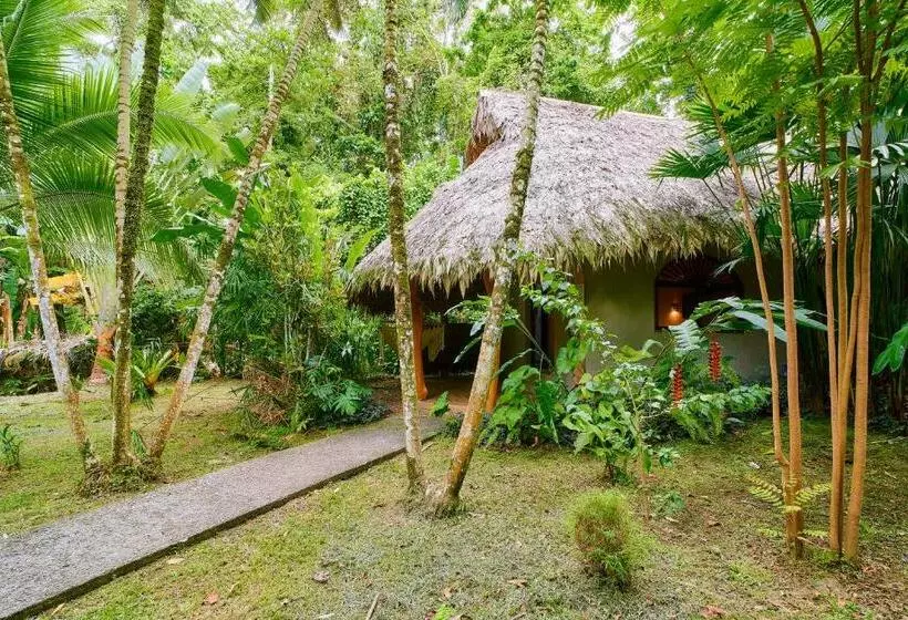 Superior-huone Näkymä, Cariblue Beach and Jungle Resort