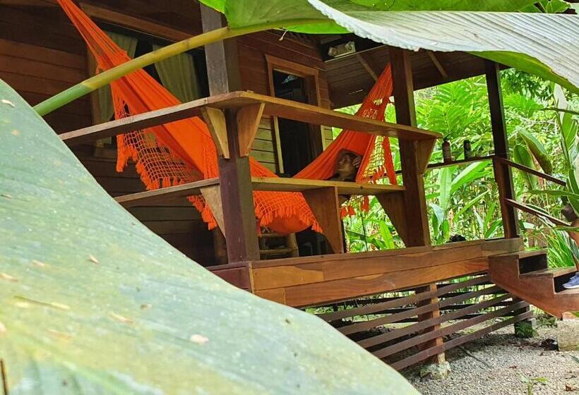 Standard bungalow with view, Cariblue Beach and Jungle Resort