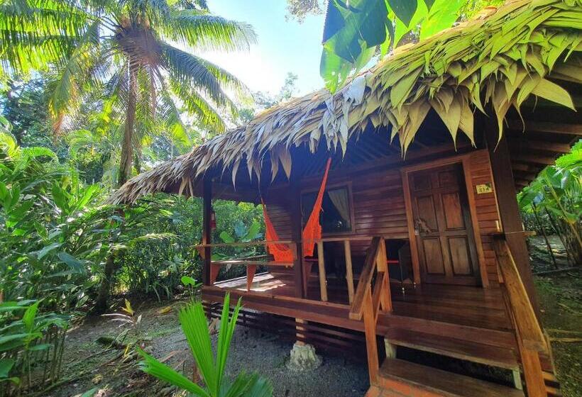 بنغل قياسي مع  إطلالات, Cariblue Beach and Jungle Resort