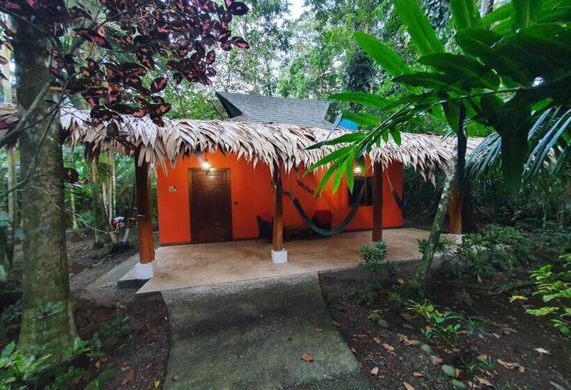 جناح جونيور ذات إطلالة, Cariblue Beach and Jungle Resort