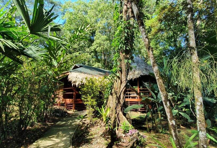 كابينة, Cariblue Beach and Jungle Resort