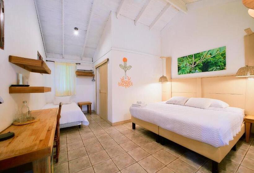 Номер Стандарт, Cariblue Beach and Jungle Resort
