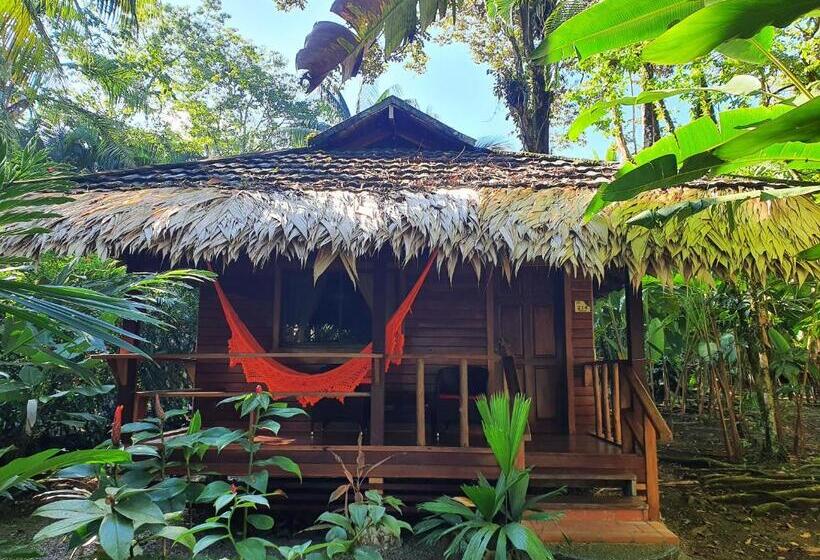 بنغل قياسي مع  إطلالات, Cariblue Beach and Jungle Resort