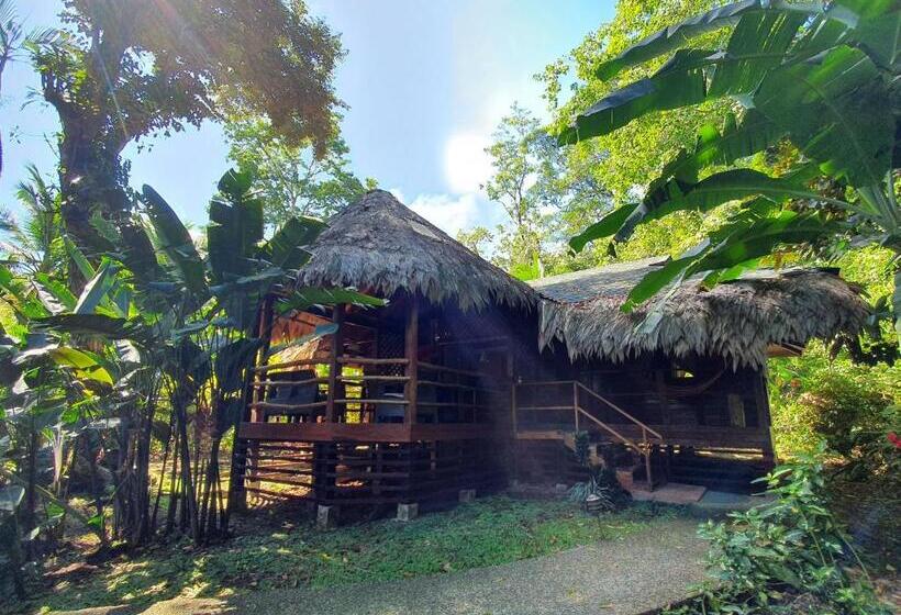 كابينة, Cariblue Beach and Jungle Resort