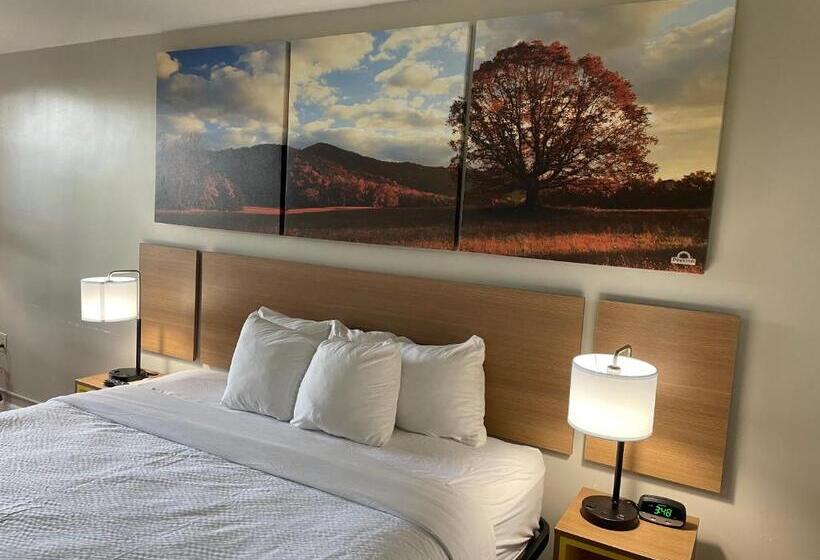 带大床的标准间, Days Inn By Wyndham Valdosta/near Valdosta Mall