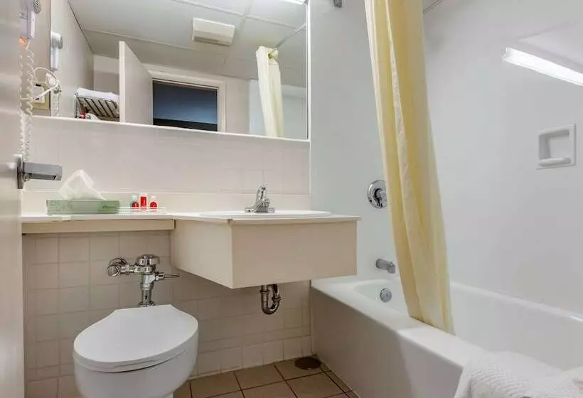２ダブルベッドのスタンダードルーム, Econo Lodge Dewitt I 90