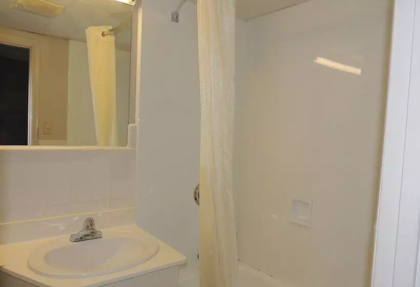 ２ダブルベッドのスタンダードルーム, Econo Lodge Dewitt I 90