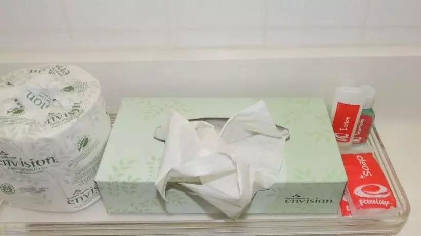 ２ダブルベッドのスタンダードルーム, Econo Lodge Dewitt I 90