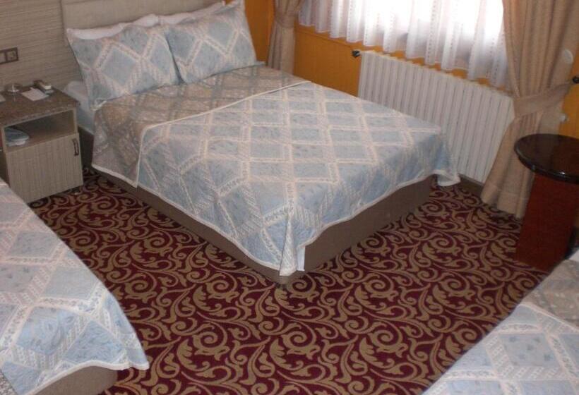 スタンダードトリプルルーム, Grand Reis