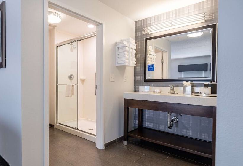 Люкс, Hampton Inn & Suites Greensboro/coliseum Area