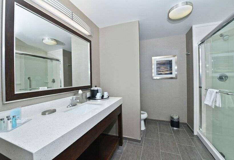 Люкс, Hampton Inn & Suites Greensboro/coliseum Area