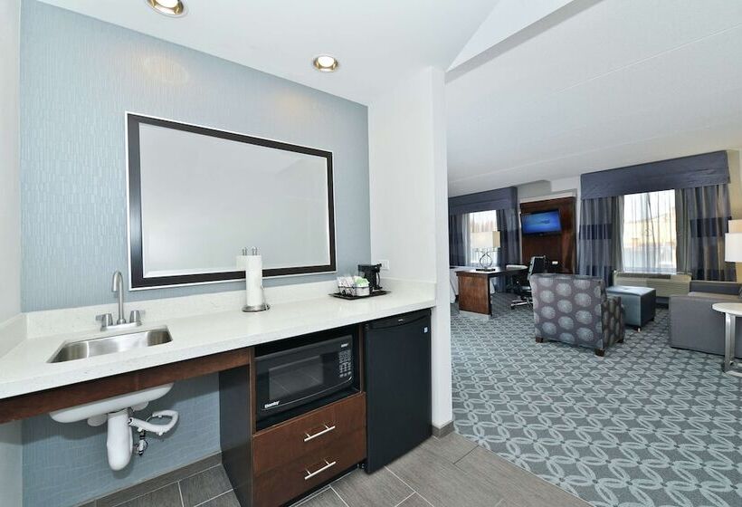 Люкс, Hampton Inn & Suites Greensboro/coliseum Area