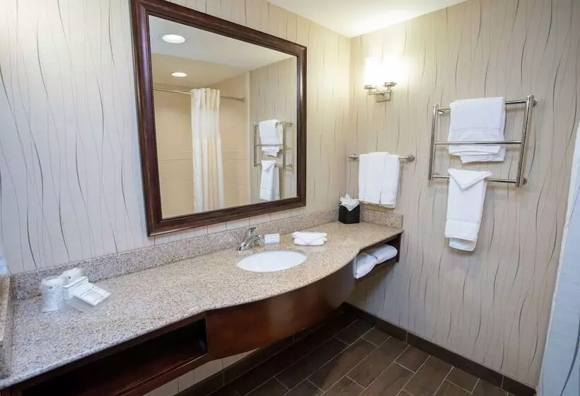 身障者適用スタンダードルーム, Hilton Garden Inn Dayton South Austin Landing