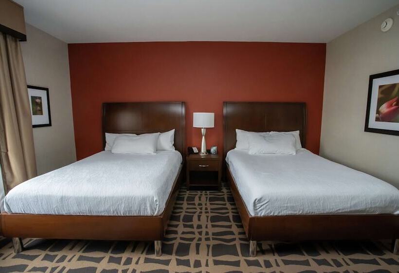 Номер Стандарт Адаптированный для Инвалидов, Hilton Garden Inn Dayton South Austin Landing