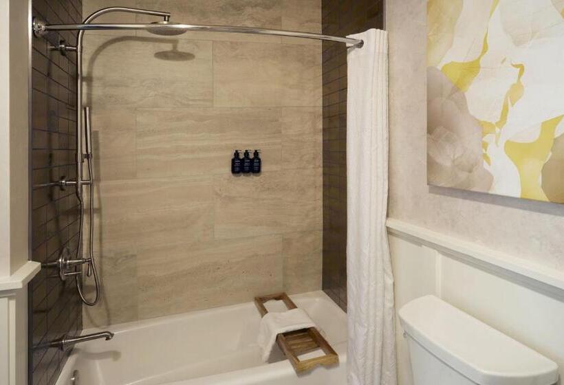 غرفة قياسية لذوى الاحتياجات الخاصة, The Red Cliffs Lodge Zion, A Tribute Portfolio