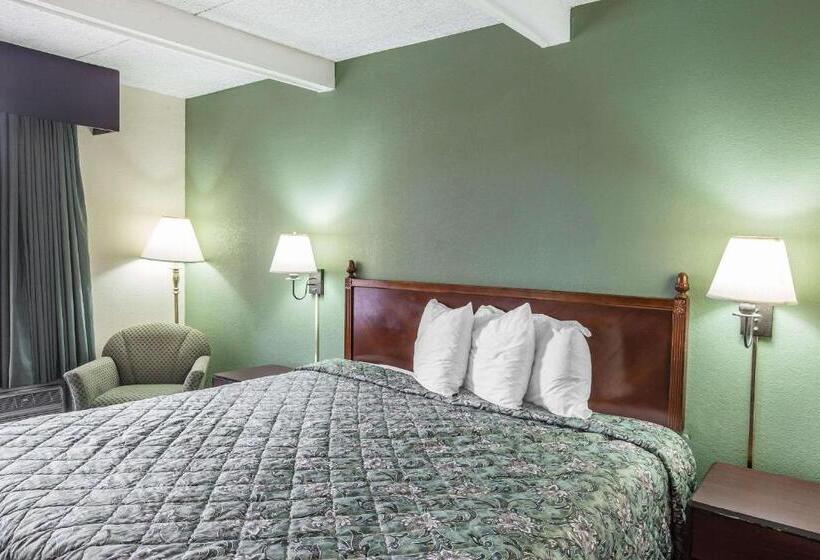 Büyük Çift Kişilik Yataklı Standart Oda, Rodeway Inn