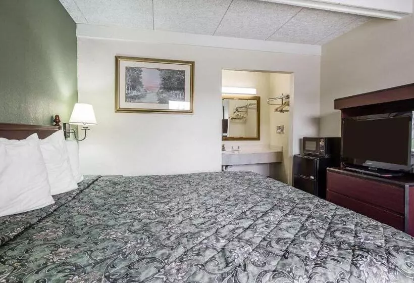 キングサイズベッドのスタンダードルーム, Rodeway Inn