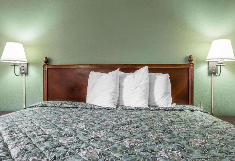 Büyük Çift Kişilik Yataklı Standart Oda, Rodeway Inn