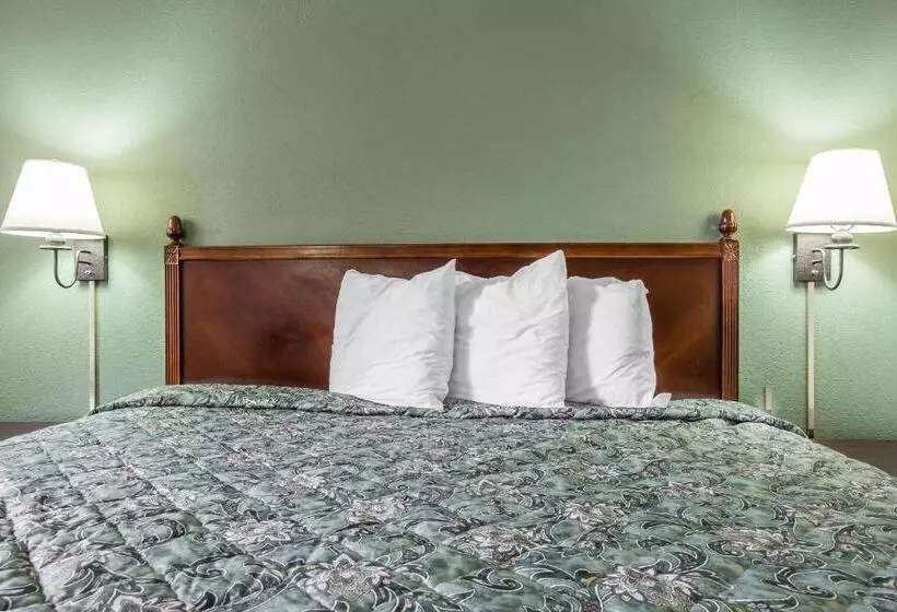 キングサイズベッドのスタンダードルーム, Rodeway Inn