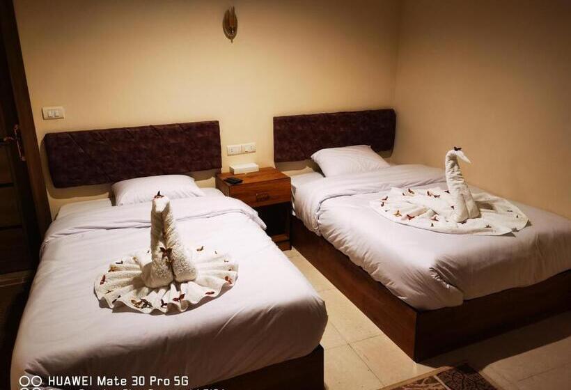 اتاق استاندارد, The View Pyramids