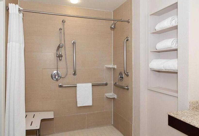 带大床的套房, Residence Inn Odessa