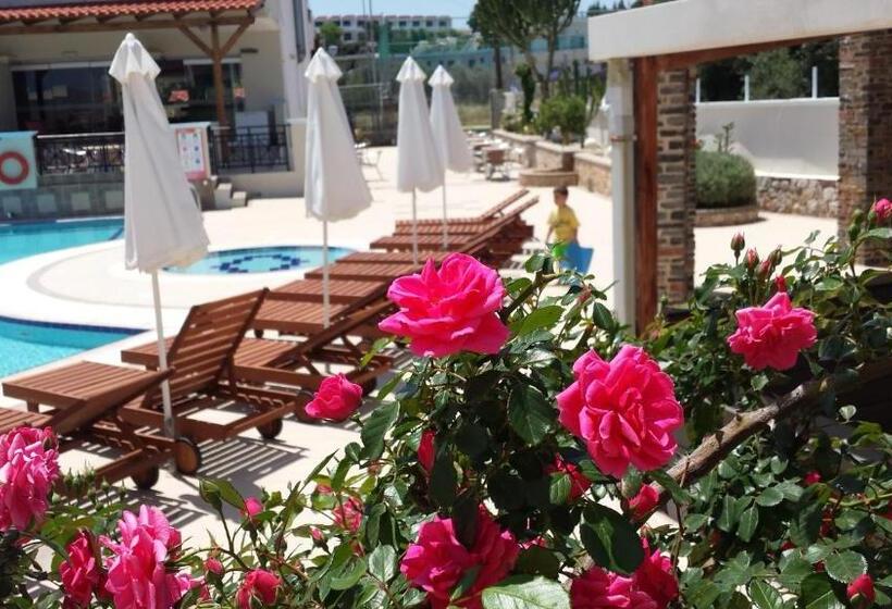 １ベッドルームのスーペリアアパートメント, Bright Star