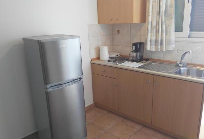 １ベッドルームのスーペリアアパートメント, Bright Star