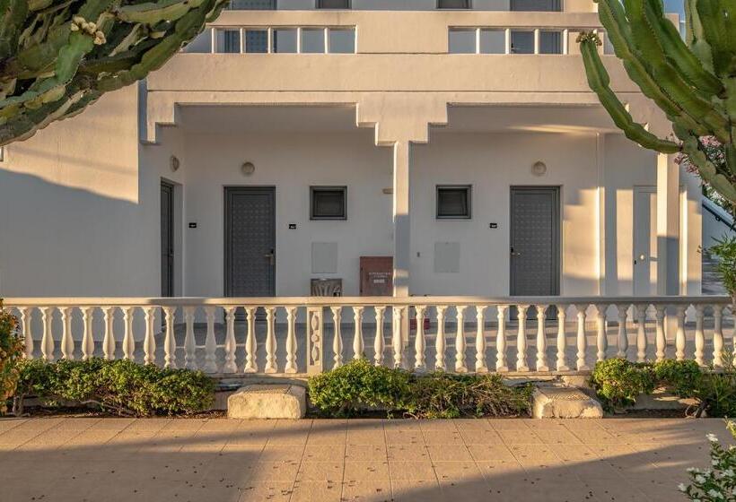 １ベッドルームのスーペリアアパートメント, Bright Star