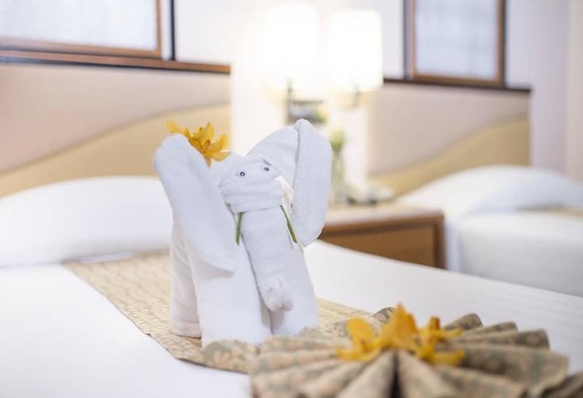 Номер Superior, Asia Chaam