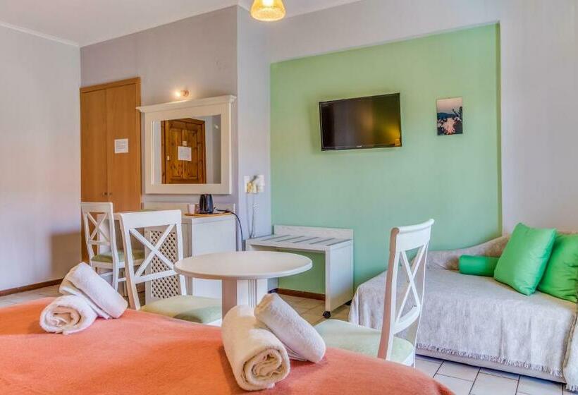 高级大房间, Pegasus Adult Friendly
