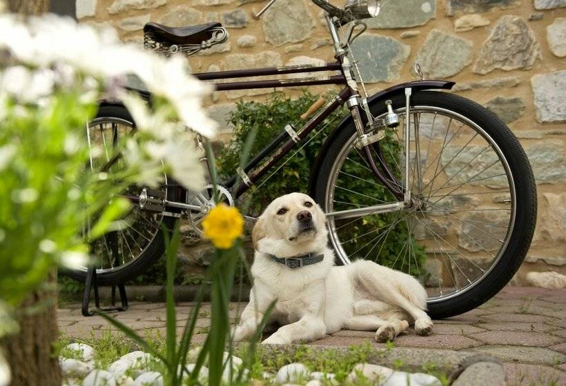 חדר סטודיו סטנדרד, Taleton Eco Guest House